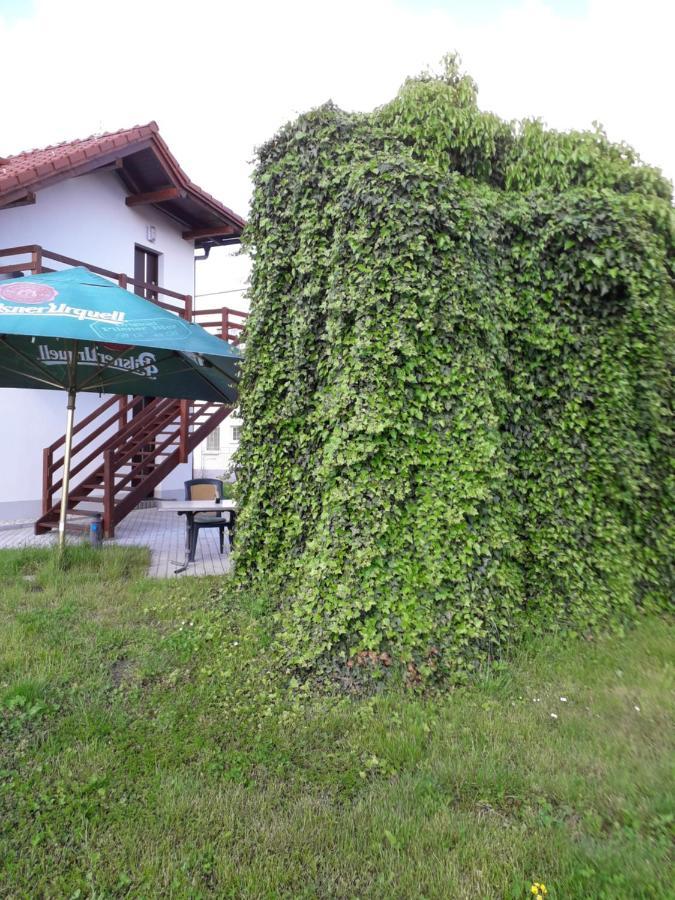 Penzion A Restaurace U Strnada Klatovy Exterior photo